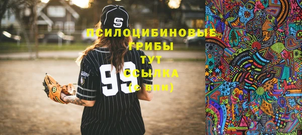 спиды Алзамай
