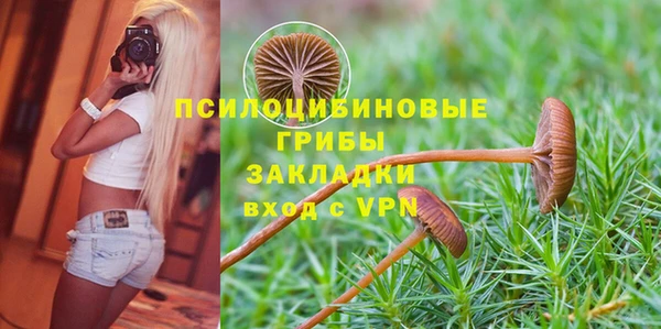мяу мяу мука Алексин