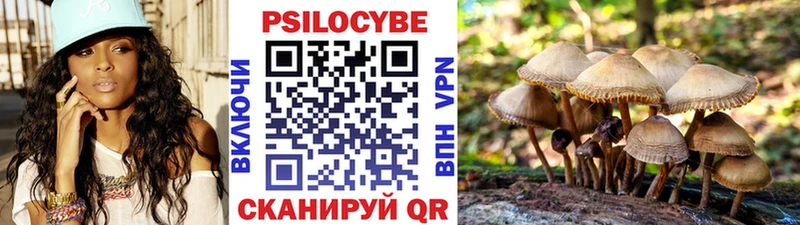 Галлюциногенные грибы Magic Shrooms  наркотики  Дудинка 